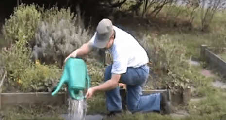 Make a Change announcement