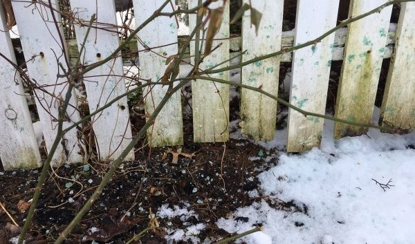 Salt on fence
