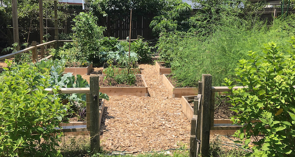 Christiane's garden 2